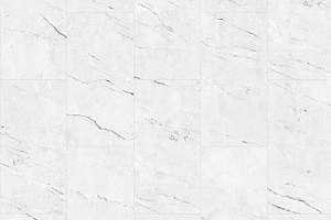 Кварцвиниловые полы Moduleo Next Acoustic камень CARRARA MARBLE 112 BV фото  | FLOORDEALER