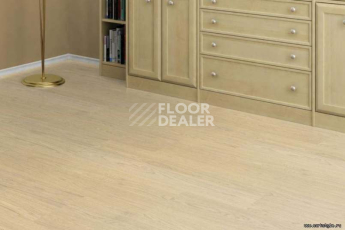 Wood OAK CREME фото 2 | FLOORDEALER