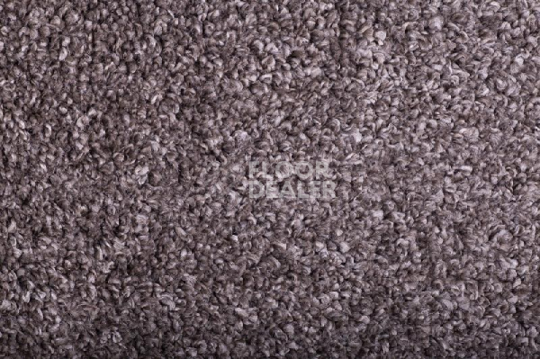 Ковролин Tarkett Diva 11181 фото 1 | FLOORDEALER