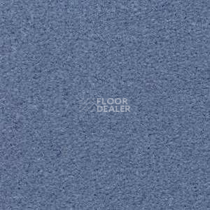 Ковролин Radici Montecarlo 25 фото 1 | FLOORDEALER