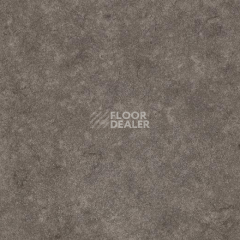 Линолеум Forbo SureStep Stone 17162 фото 1 | FLOORDEALER