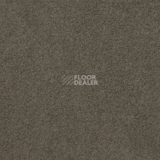 Ковролин Standard Carpets Mountain View 4398 фото 1 | FLOORDEALER