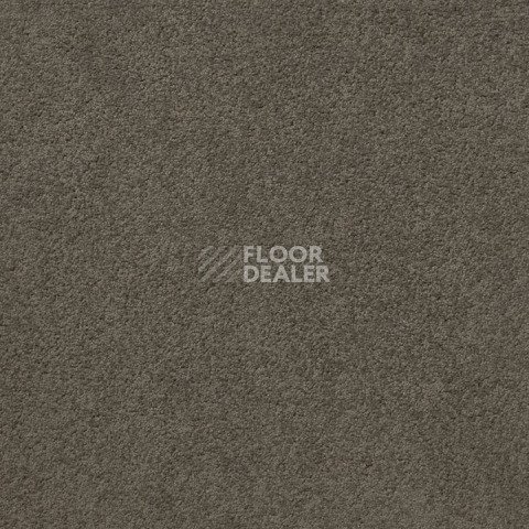 Ковролин Standard Carpets Mountain View 4398 фото 1 | FLOORDEALER