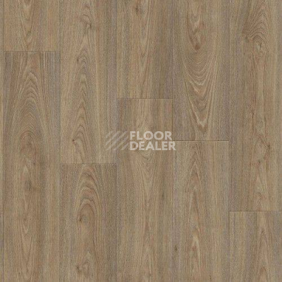 Линолеум Tarkett Grand IRVING 2 фото 1 | FLOORDEALER