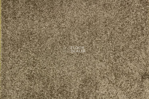 Ковролин Betap Tardi 43 фото 1 | FLOORDEALER