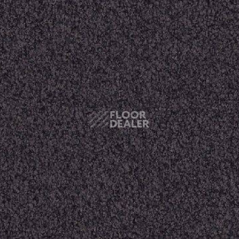 Ковролин Vorwerk Viola 5t68 фото 1 | FLOORDEALER