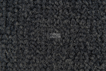 Balsan Les Best S 993 фото 2 | FLOORDEALER