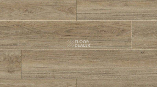 Кварцвиниловые полы Gerflor Creation 55 Clic 0488_caldwell фото 1 | FLOORDEALER