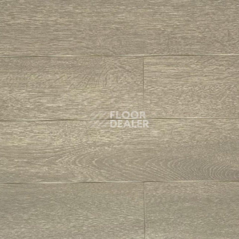 Ламинат Biela Cbm Silence 10мм 729-10 Дуб Злате фото 1 | FLOORDEALER