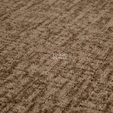 Haima Rocky 03 фото 2 | FLOORDEALER