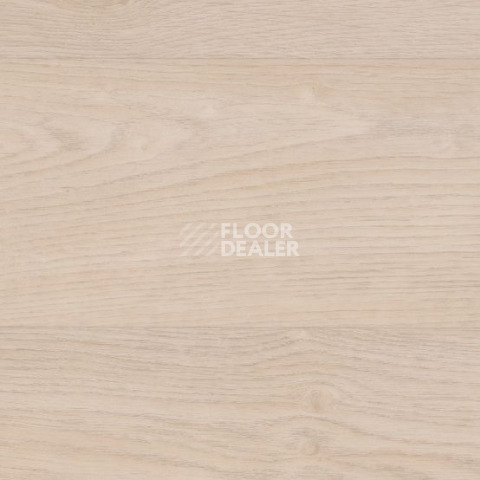 Линолеум Gerflor Taralay Initial Compact (wood) 0797 Habana Ivory фото 1 | FLOORDEALER