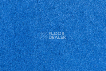 Ковролин Vorwerk Passion 1000/Modena Vorwerk 3n56 фото 1 | FLOORDEALER