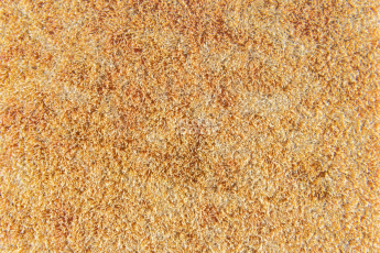 Forbo Flotex Colour Calgary 50*50 t 590008 Calgary Saffron фото 2 | FLOORDEALER