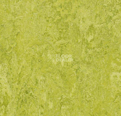 Кварцвиниловые полы Forbo Marmoleum Modular Colour 3224 фото 1 | FLOORDEALER