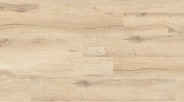 Кварцвиниловые полы Gerflor Creation 55 0849_Cedar_Pure фото 1 | FLOORDEALER