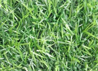 Искусственная трава EcoGreen EcoGreen фото 1 | FLOORDEALER
