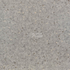 Линолеум Tarkett iQ Aria CARII-653 фото 1 | FLOORDEALER
