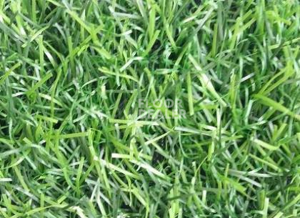 Искусственная трава EcoGreen EcoGreen фото 1 | FLOORDEALER