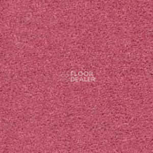 Ковролин Radici Montecarlo 4 фото 1 | FLOORDEALER