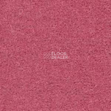 Ковролин Radici Montecarlo 4 фото 1 | FLOORDEALER