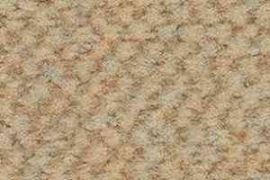 Ковролин Balsan Carrousel Carrousel 615 фото  | FLOORDEALER