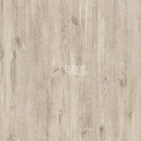 Ламинат My Step Arto 10мм Дуб Нeйман D7087 фото 1 | FLOORDEALER