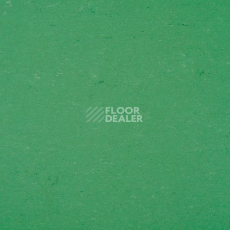 Линолеум Gerflor Colorette 0006 Vivid Green фото 1 | FLOORDEALER
