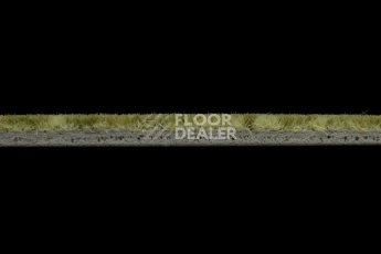 Forbo Flotex Colour s 445027 Canyon Kelp фото 4 | FLOORDEALER