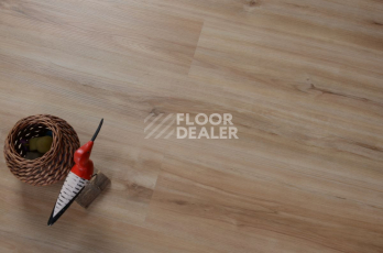 Evofloor Optima Click 4.2мм Груша Капучино фото 3 | FLOORDEALER