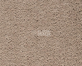 Ковролин Best Wool Pure Brunel d 40010 фото 1 | FLOORDEALER