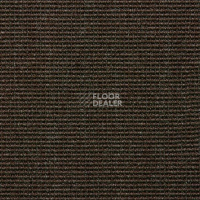 Ковролин Carpet Concept Eco 500 6957 фото 1 | FLOORDEALER