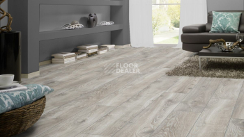 Kronotex Mammut d4797 Дуб Горный Серебристый фото 2 | FLOORDEALER