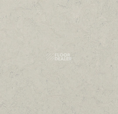Линолеум Forbo Marmoleum Decibel 386035 silver shadow фото 1 | FLOORDEALER