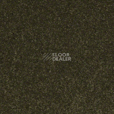 Ковролин Shaw Design Texture Platinum 323 фото 1 | FLOORDEALER