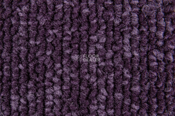 Balsan Season - Summer / Winter 880 фото 2 | FLOORDEALER