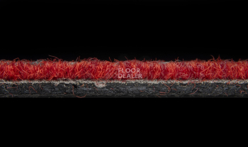Balsan Trust 570 фото 4 | FLOORDEALER