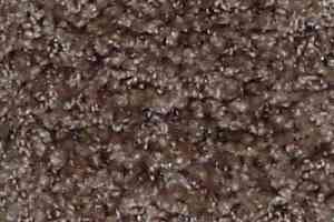 Ковролин Bell Rock Beaulieu of America 2684 фото  | FLOORDEALER
