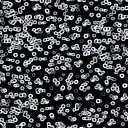 Ковролин Forbo Flotex Sottsass Bacteria 990106  | FLOORDEALER