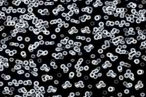 Ковролин Forbo Flotex Sottsass Bacteria 990106 фото  | FLOORDEALER