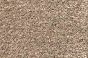 Ковролин Emphatic Beaulieu of America 56510 фото  | FLOORDEALER