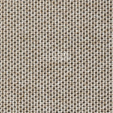 Ковролин Carpet Concept Eco Zen 280005 - 40081 фото 1 | FLOORDEALER
