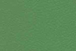 Линолеум Gerflor Recreation 60 Uni 6556_Verde фото  | FLOORDEALER