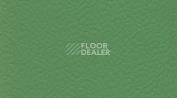 Линолеум Gerflor Recreation 60 Uni 6556_Verde фото 1 | FLOORDEALER