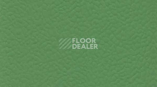 Линолеум Gerflor Recreation 60 Uni 6556_Verde фото 1 | FLOORDEALER