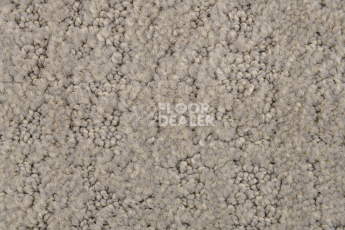 AW Tulle / Тюль 39 Dove фото 4 | FLOORDEALER
