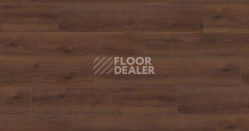 Ламинат Haro Tritty 100 Campus 4V ДУБ КОНТУРА ДЫМЧАТЫЙ 541540 фото 1 | FLOORDEALER