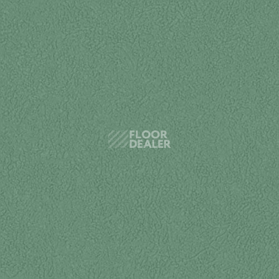 Линолеум Grabo Silver Knight Fitness 7483_00_279 фото 1 | FLOORDEALER