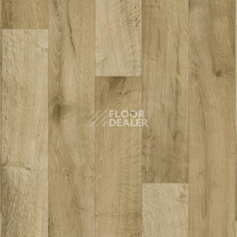 Линолеум Tarkett Philosophy Gea 5 фото 1 | FLOORDEALER