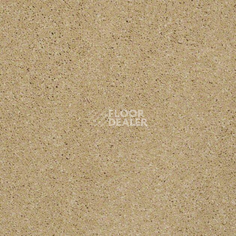 Ковролин Shaw Design Texture Platinum 211 фото 1 | FLOORDEALER