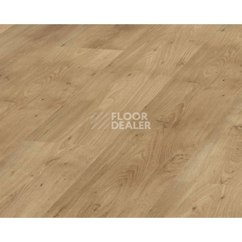 Ламинат Kronopol Aurum Vision d3344 Кедр Ливанский фото 1 | FLOORDEALER